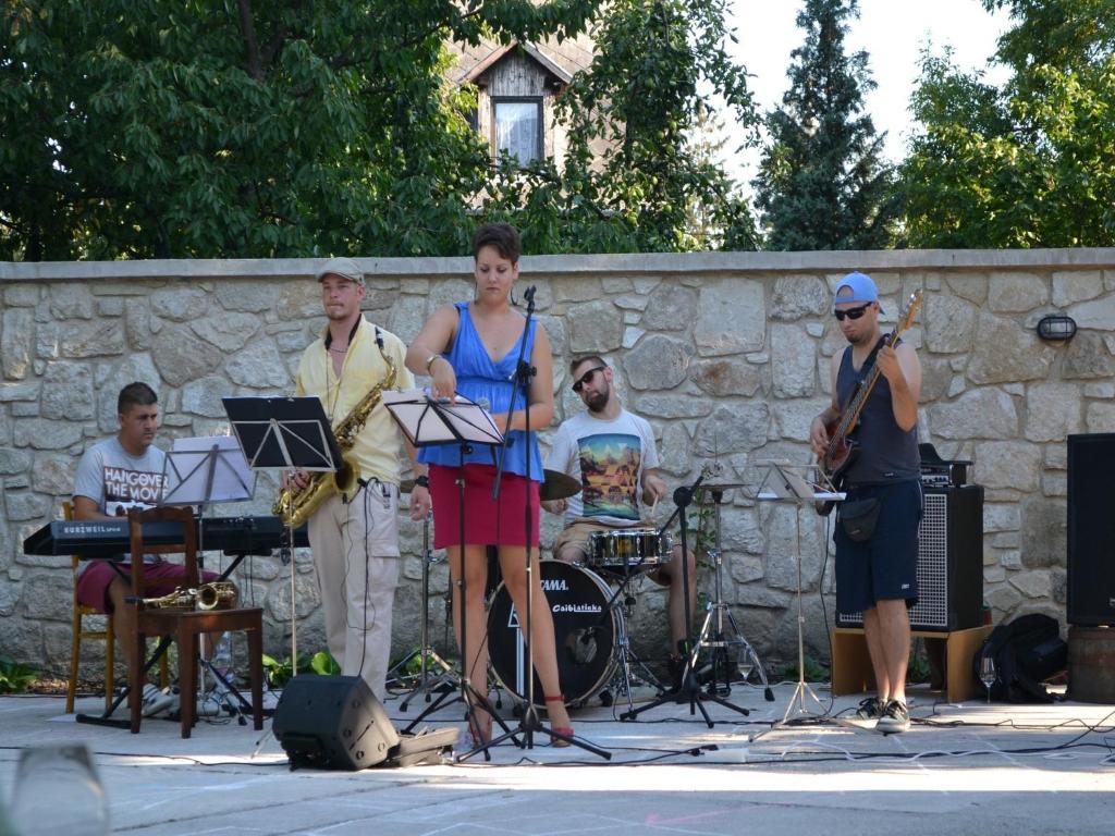 Turjan Vendeghaz Hotel Erdőbénye Buitenkant foto