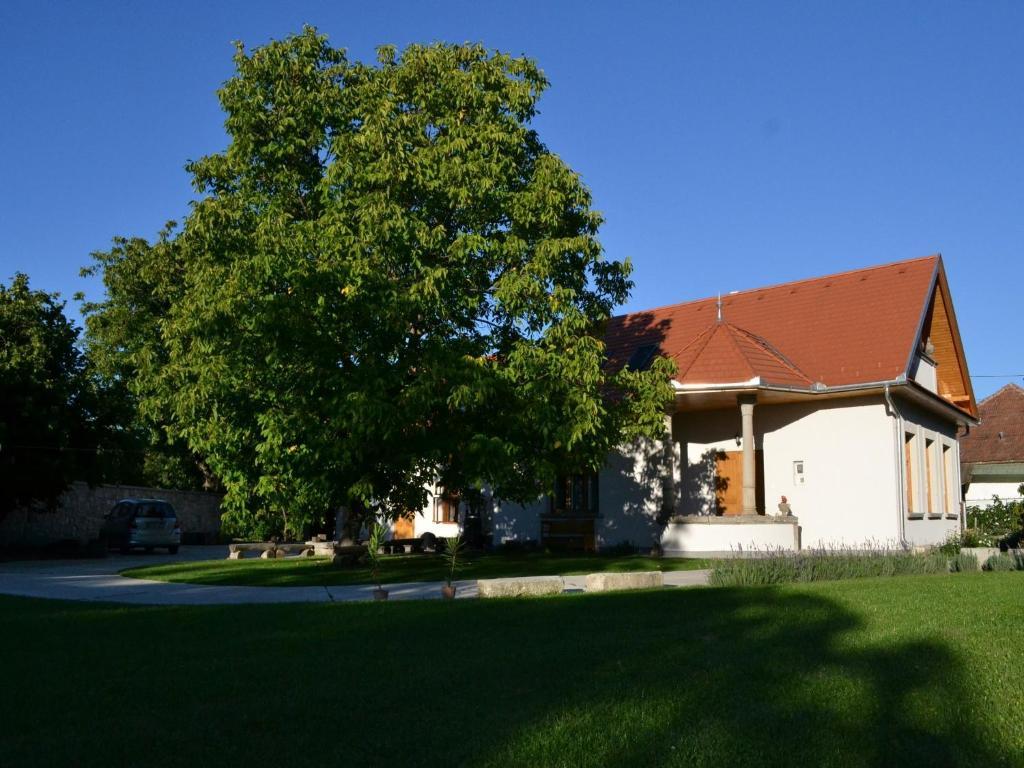 Turjan Vendeghaz Hotel Erdőbénye Buitenkant foto