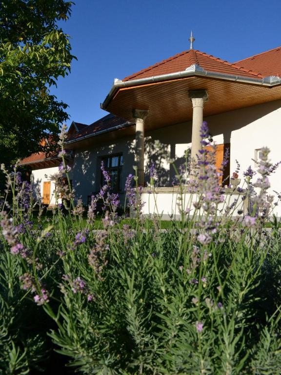 Turjan Vendeghaz Hotel Erdőbénye Buitenkant foto