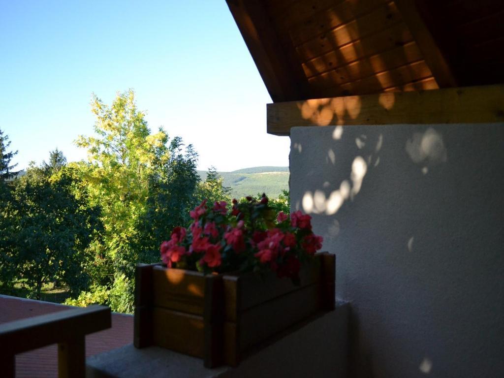 Turjan Vendeghaz Hotel Erdőbénye Buitenkant foto