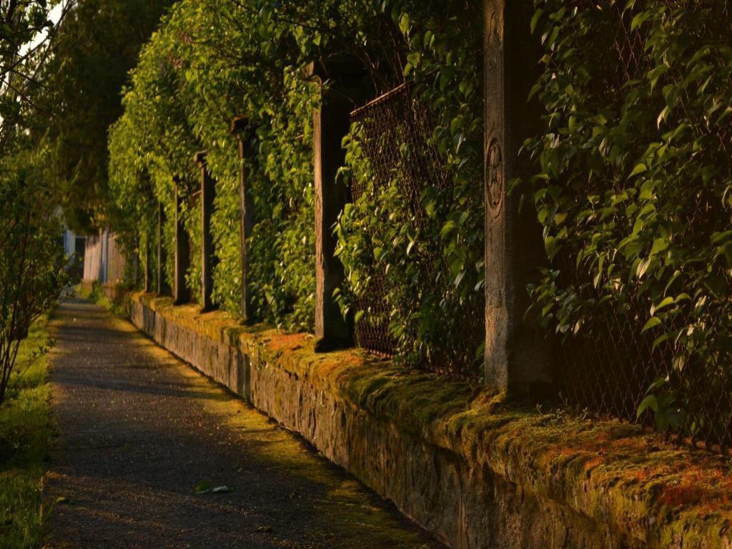Turjan Vendeghaz Hotel Erdőbénye Buitenkant foto